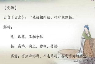 詩(shī)句,男子,名字