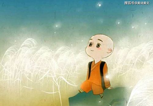 關(guān)于僧人掃地的詩句