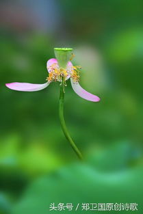 同學(xué)情古詩(shī)句