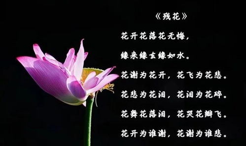 關(guān)于殘花的古詩句