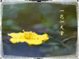 關于如若心清塵事遠的詩句