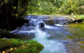 關(guān)于舟萬(wàn)山的詩(shī)句