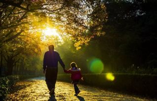 贊頌父愛的古詩詩句