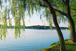 詩(shī)句中含有日字的古詩(shī)有什么