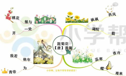 小學(xué)寫菊花的詩句古詩大全