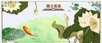 古詩,詩句,飛鳥,描寫