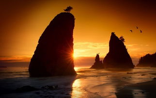 關(guān)于成熟與孤單的詩句