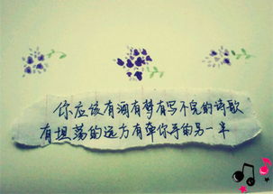 詩句,感傷,人生