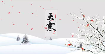 大寒,詩句,作者,介紹
