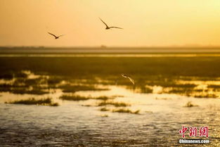 關(guān)于微微的詩(shī)句