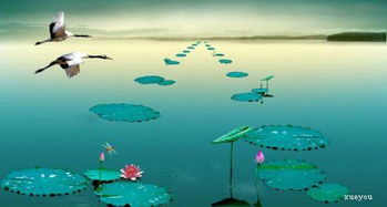 關(guān)于音樂優(yōu)美的詩句