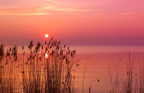 關(guān)于夕陽落日的古詩句