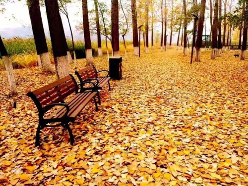 詩句,千古,秋天