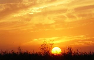 傍晚的詩(shī)句,傍晚火燒云的詩(shī)句,贊美傍晚的詩(shī)句