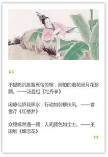 贊揚(yáng)美人的古詩句