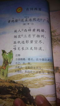 古詩句里面的石頭含義是什么意思