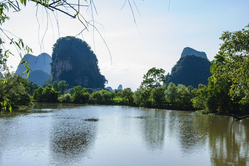 古詩(shī),詩(shī)句,描寫,山水