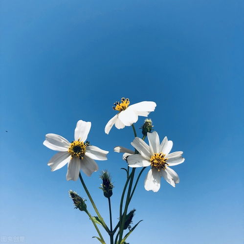 朗誦古詩句勵(lì)志向上