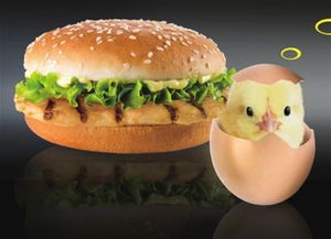 關(guān)于食物的成語(yǔ)或詩(shī)句