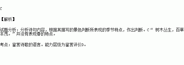 天花,詩句,景物,于春