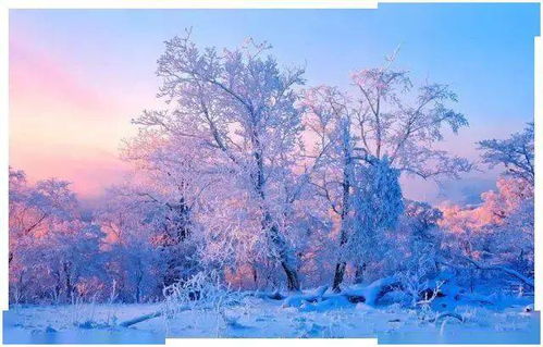 關(guān)于冬天的詩句散文