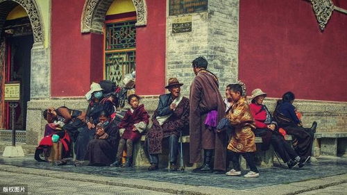 關(guān)于描述古代青海的詩句