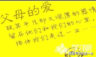 寫兩句表現偉大母愛或父愛的古詩句