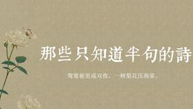 詩(shī)句,內(nèi)涵,優(yōu)美