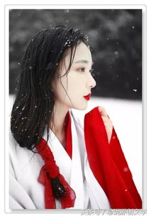 關(guān)于那冬天天的現(xiàn)代詩(shī)句