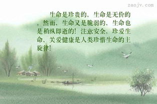 關(guān)于生命可貴的古詩(shī)句