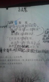 關(guān)于事實(shí)求是的古詩句