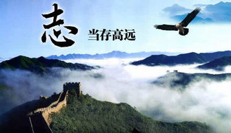 關于理想的詩句劉沙河