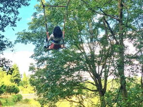 關于蟲語鳥鳴的詩句