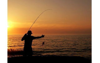 詩句,釣魚,悠閑,形容