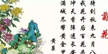 古詩詞,詩句,中藥,名字