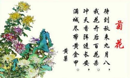 詠菊的詩(shī)句古詩(shī)