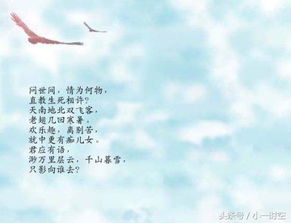 關于愛情的詩句唯美,關于愛情的詩句現(xiàn)代詩,關于愛情遺憾的詩句