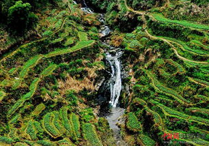 描述江西的美景的詩(shī)句,贊美江西美景的詩(shī)句,描寫(xiě)江西山水美景的詩(shī)句