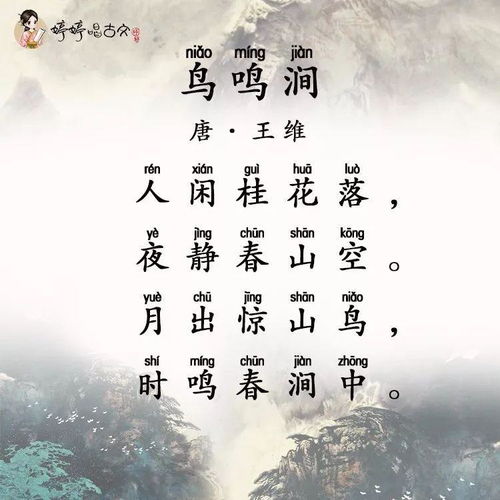 關(guān)于姐的詩(shī)句