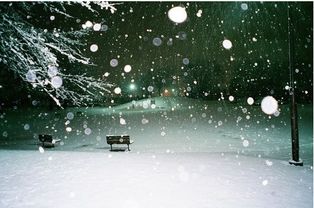 關于雪的悲傷詩句