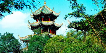 關于望江公園的詩句