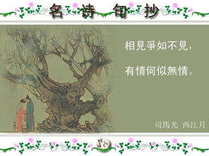 關(guān)于知己的警句和詩句