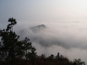 詩句,登山,春節(jié)