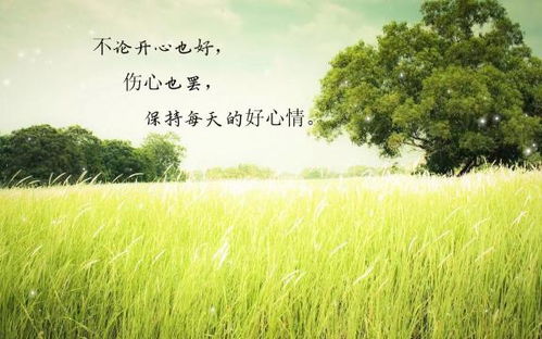 描寫夏天心情好的詩(shī)句,夏天心情好的詩(shī)句唯美意境,早上心情好的詩(shī)句夏天