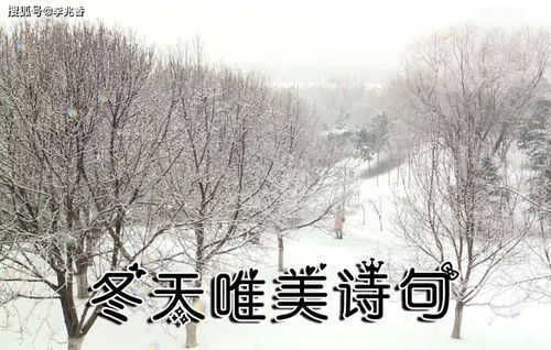 
高適:《別董大》
千里黃云白日曛,北風(fēng)吹雁雪紛紛.
莫愁前路無知己,天下誰人不識(shí)君?
李白《北風(fēng)行》
燭龍棲寒門,光耀猶旦開.
日月照之何不及此,唯有北風(fēng)號(hào)怒天上來.
燕山雪花大如席,片片吹落軒轅臺(tái).
幽州思婦十二月,停歌罷笑雙蛾摧.
倚門望行人,念君長(zhǎng)城苦寒良可哀.
別時(shí)提劍救邊去,遺此虎文金鞞靫.
中有一又白羽箭,蜘蛛結(jié)網(wǎng)生塵埃.
箭空在,人今戰(zhàn)死不復(fù)回.
不忍見此物,焚之已成灰.
黃河捧土尚可塞,北風(fēng)雨雪恨難裁.
![古詩詞,詩句,景色,冬天