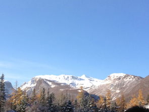 關于主峰的詩句