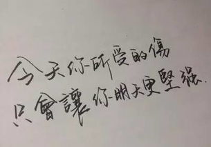 關于愛情忘記詩句