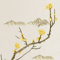 詩句,典雅,環(huán)境