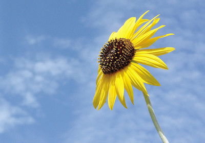 對未來充滿期待的古詩句