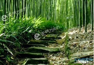 描寫小暑的古詩句